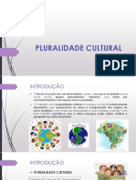 Cultura plural brasileira