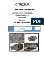 Laboratorio 9 Igneas PDF