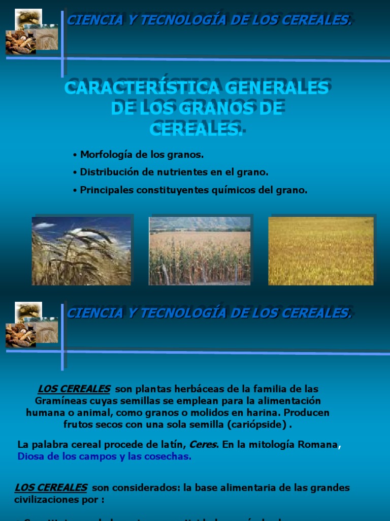 1. Caracteristicas Generales de Los Granos de Cereales Cereales Almidón