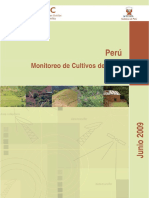 Peru_monitoreo_cultivos_coca_2008.pdf