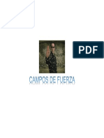 Campos de Fuerza