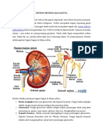 Nefron Beserta Bagiannya 1 PDF