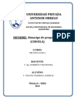 informe 