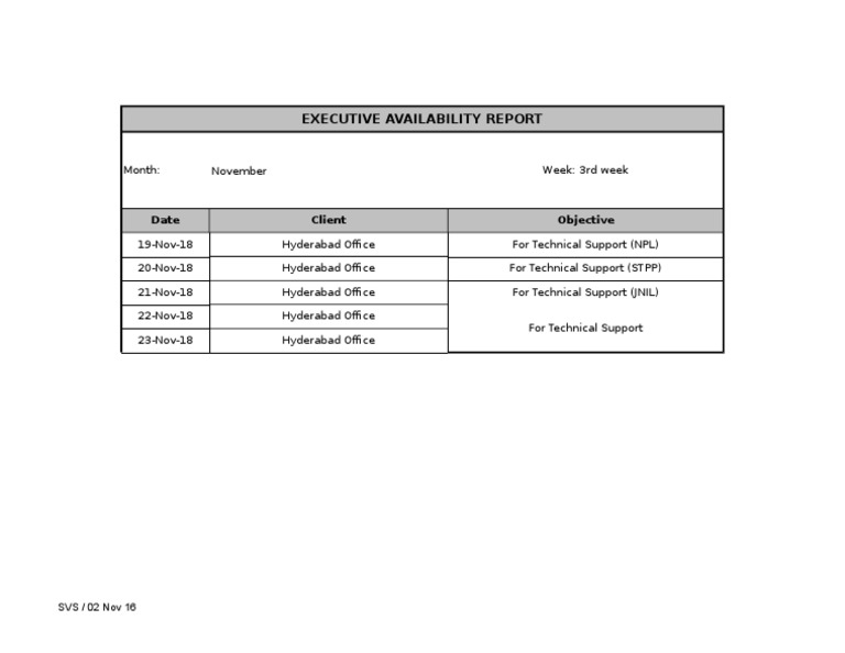 Executive Availability Report: Date Client Objective | PDF