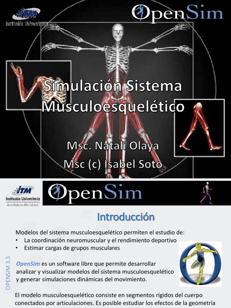 Análisis cinético con OpenSim 3.3 | PDF | Ventana (informática) | Músculo