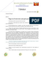 ACF - Curso de Tengui Aula 2 PDF