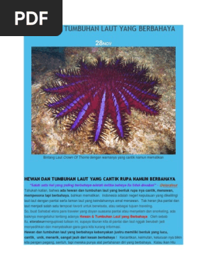 Hewan Dan Tumbuhan Laut Yang Beracun