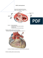 OSPE - Cardiorespiratory-1