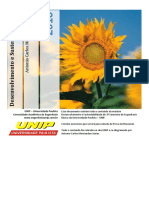 DS 1 Semestre PDF