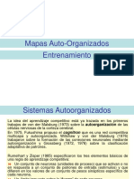 Entrenamiento SOM PDF