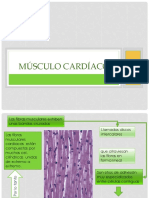 Músculo Liso y Cardiaco