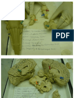 Neurolab Review - JPG"