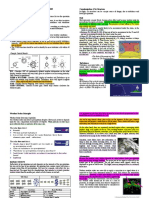 Weather Radar Guide Ei Eng PDF