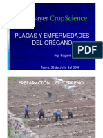 Oregano Bayer - 2 PDF