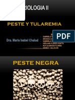 Pestes Tularemia