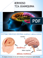 SNC Cerebro