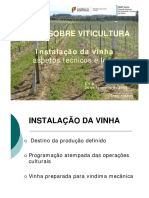 Instalação de vinhedos - Fatores chave