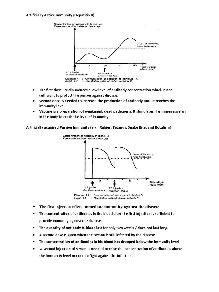 Active vs Passive Immunity Explained | PDF | Self-Improvement | Wellness