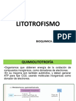 Bioquímica litotrófica: bacterias oxidantes de compuestos inorgánicos