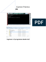 Examen Práctico
