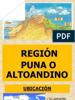 Región Puna
