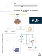 Fichas de Biologia PDF