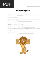 Muscular System Worksheet