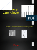 Uso de Fresas Gates Glidden