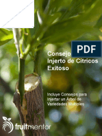 Consejos-para-un-Injerto-de-Cítricos-Exitoso-v11.pdf