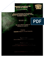 Versión Digitalizada Tesis Completa PDF