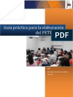 guia_practica_elaboracion_pete_pat.pdf