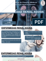 Enfermedad Renal Aguda