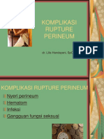 Komplikasi Robekan Perineum Final (Lilis)