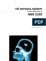 Central Nervous System OVL ANA 2103
