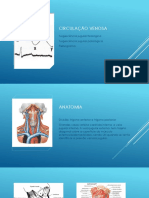 Circulação Venosa