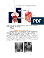 CURSUL 4 tub digestiv.doc