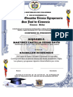 Diploma 2019 I.E.T.A San Jose de Clemencia