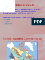 Vegetation in Canada