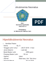 19612 440427 Dwi Ppt Hiperbilirubinemia