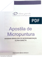 Micropuntura
