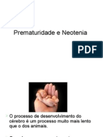 Prematuridade Humana e Neotenia