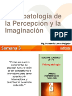 Psicopatologia Del Pensamiento e Imaginacion