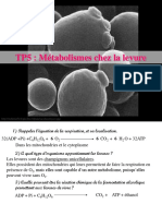 TP5: Métabolismes Chez La Levure