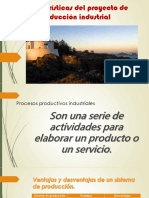 Características Del Proyecto de Producción Industrial