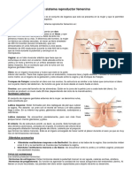 El sistema reproductor femenino.docx