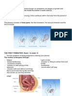 Written Report - Pregnancy