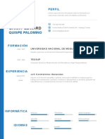 Plantilla Curriculum Vitae