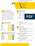 Curriculum Cronologico 1