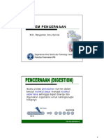 03-Sistem-Pencernaan.pdf