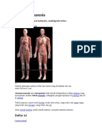 anatomi-manusia.doc
